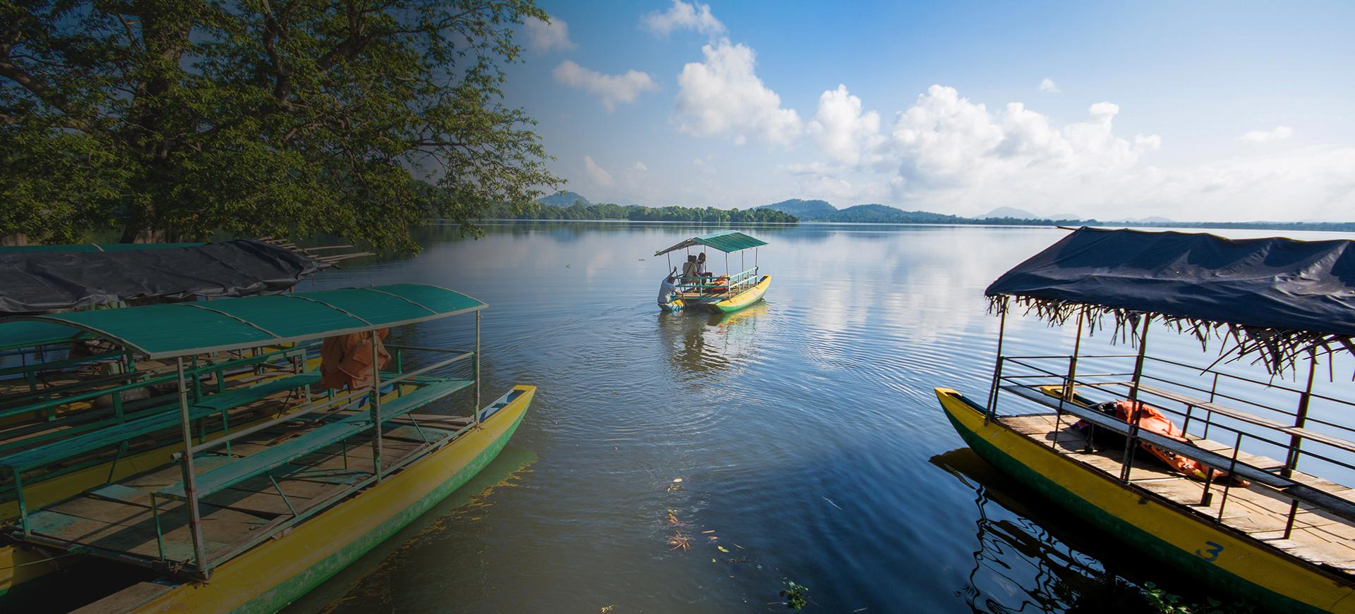 Stunning beachside with palm trees