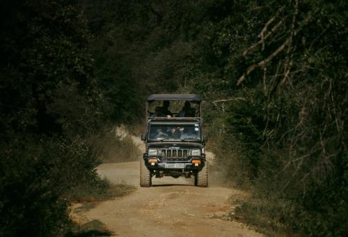 Unforgettable off-road driving experience