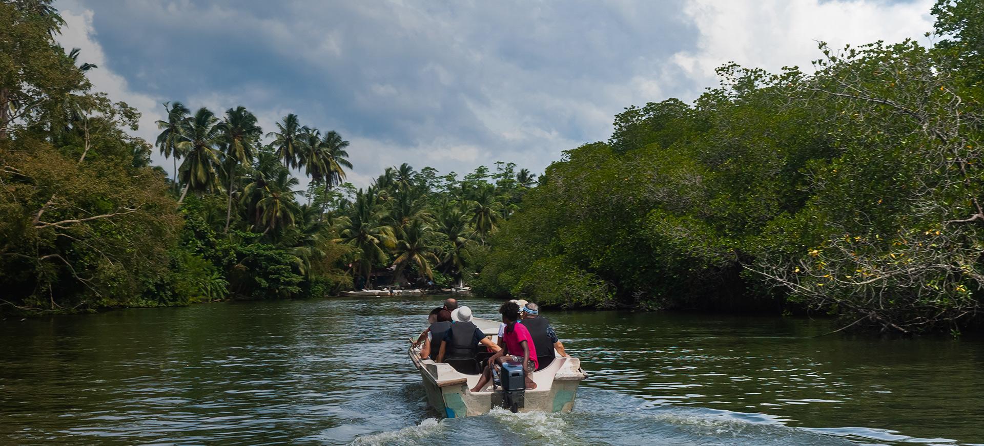 A view of Madu river safari, Sri Lanka