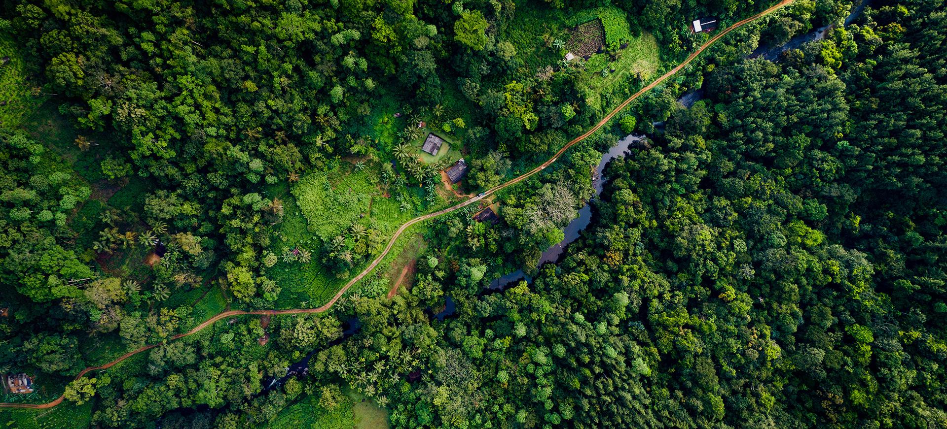Aerial footage of Sinharaja Rain forest 